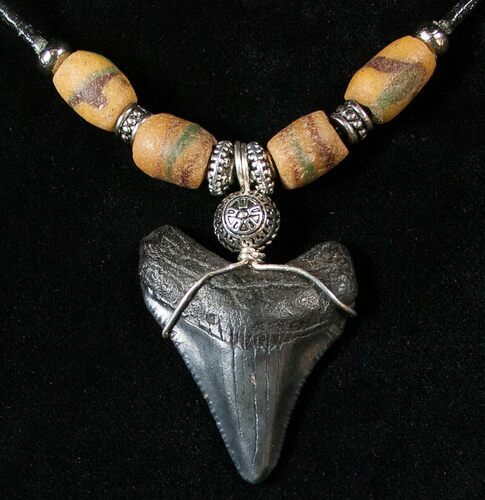 Megalodon Tooth Necklace #17345